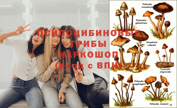 ешки Верея