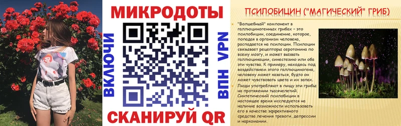 кракен как зайти Лысково Псилоцибиновые грибы Psilocybe