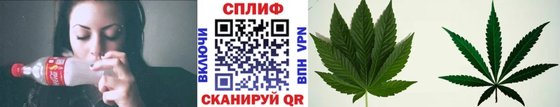 Бошки марихуана сатива  Лысково 